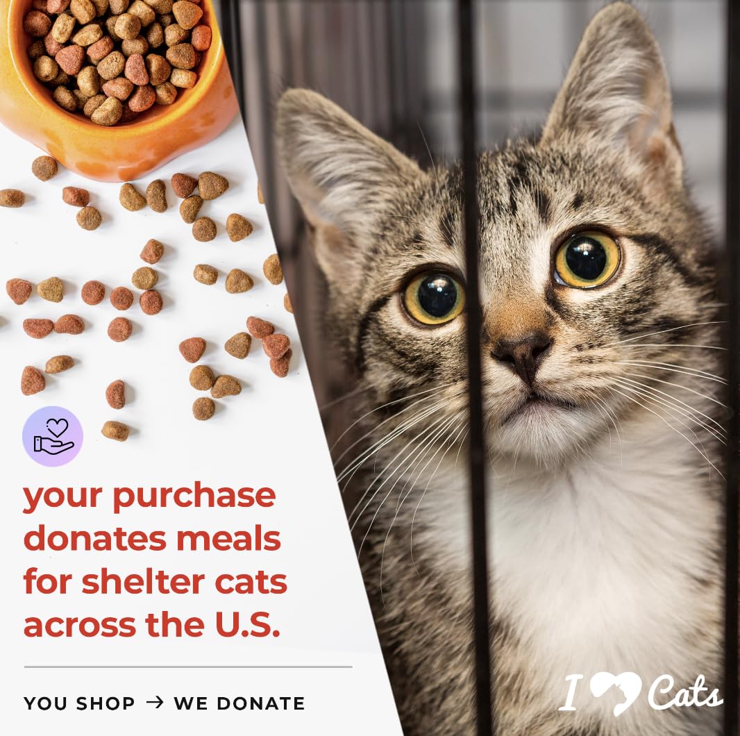 iHeartCats skin-coat-health visuals show nourished fur and a healthier-looking coat