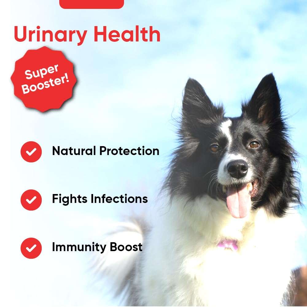 iHeartDogs capsules with scoop highlight convenient daily dosing.