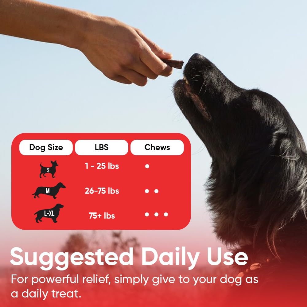 iHeartDogs cranberry-d-mannose powder close-up highlighting urinary support benefits.