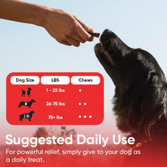 iHeartDogs cranberry-d-mannose powder close-up highlighting urinary support benefits.