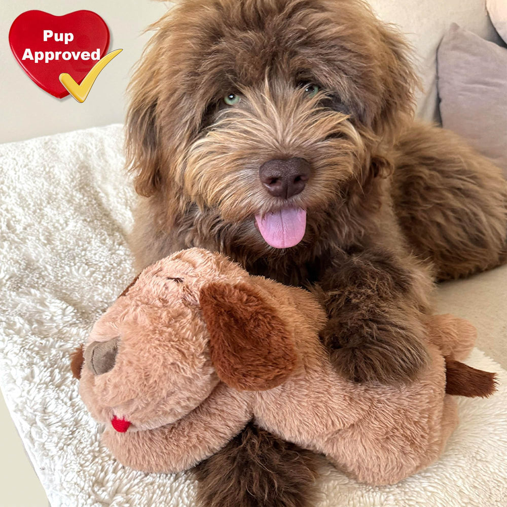 iHeartDogs machine-washable-plush-cover highlights easy cleaning after playful messes.