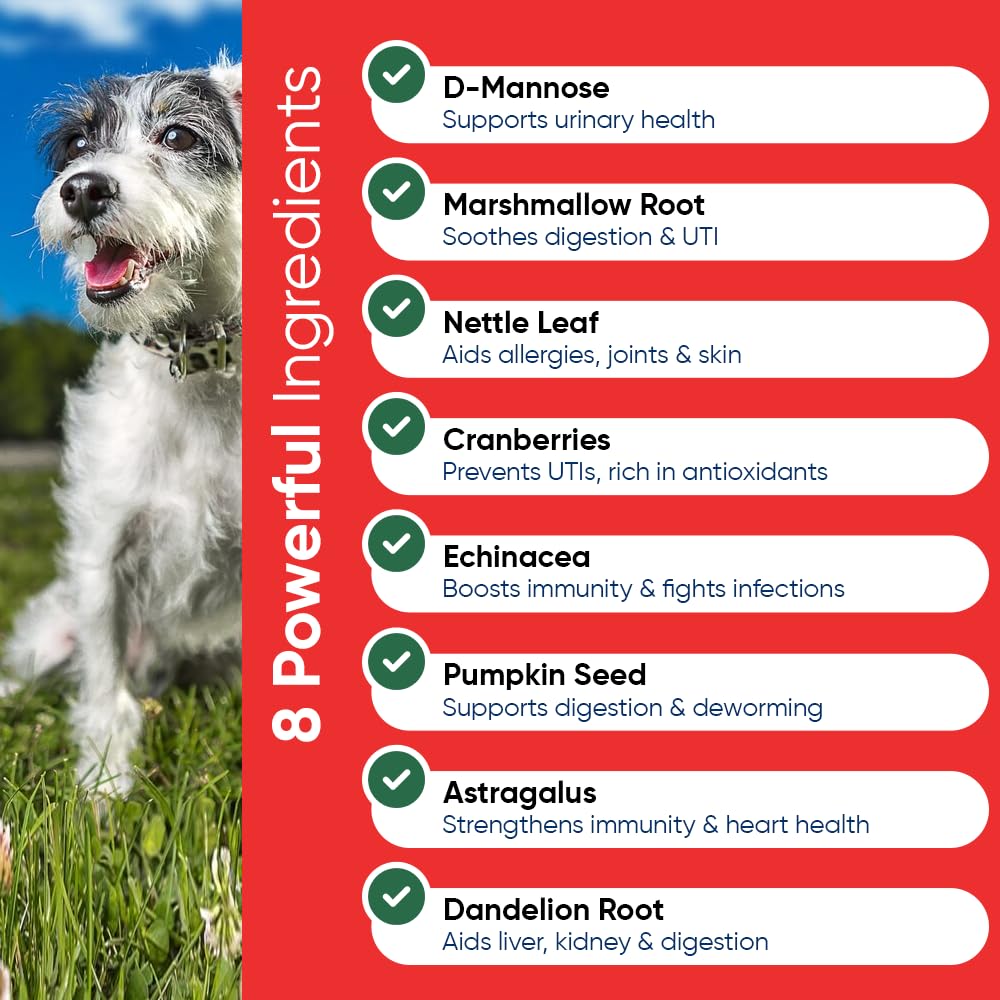 iHeartDogs vitamin-b6 assembly illustrates broader wellness support for everyday vitality.
