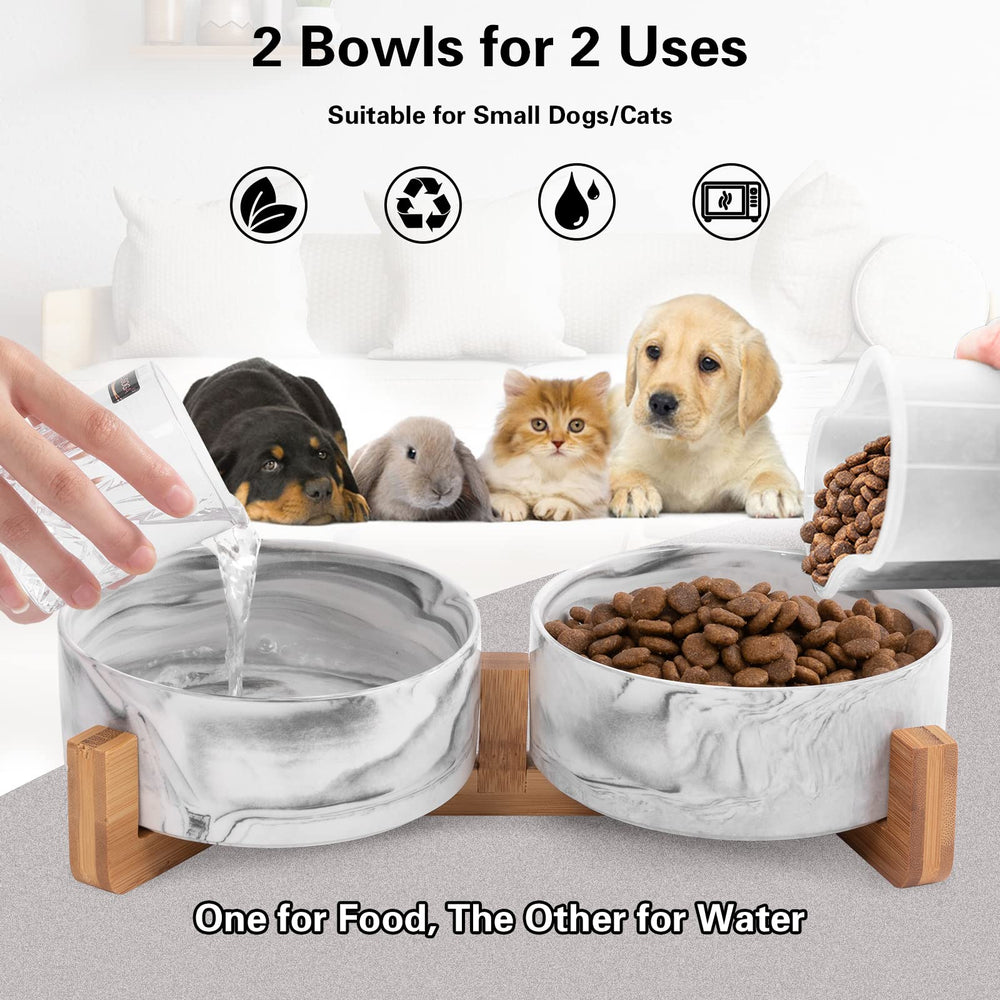 Ihoming small cat bowls 5.1-inch diameter for compact meals.
