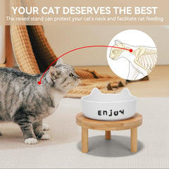IKiKiCubee wide-raised ceramic dishes emphasize whisker-friendly dining and easy reach.