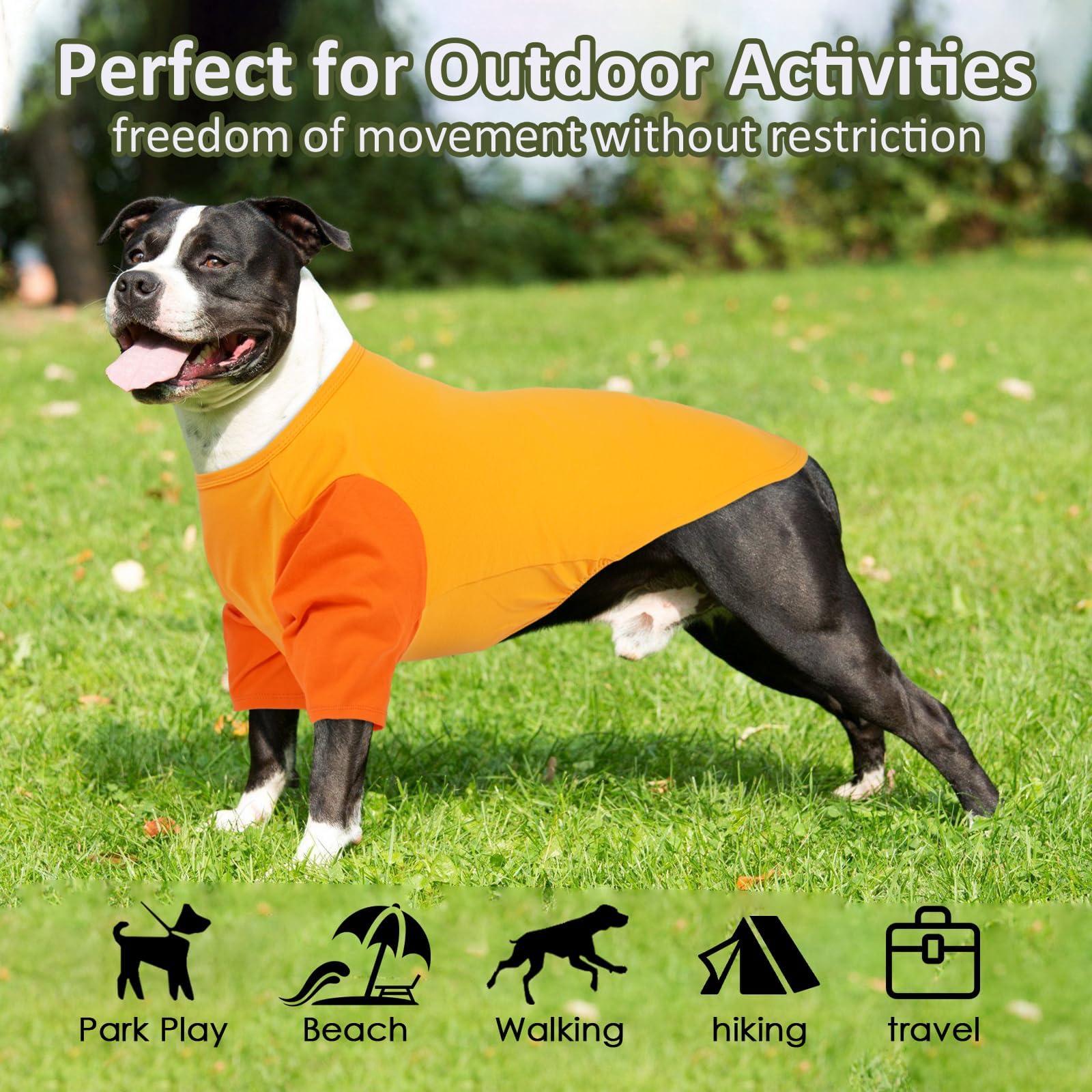 IKIPUKO breathable summer tee orange highlights lightweight comfort during walks and play.