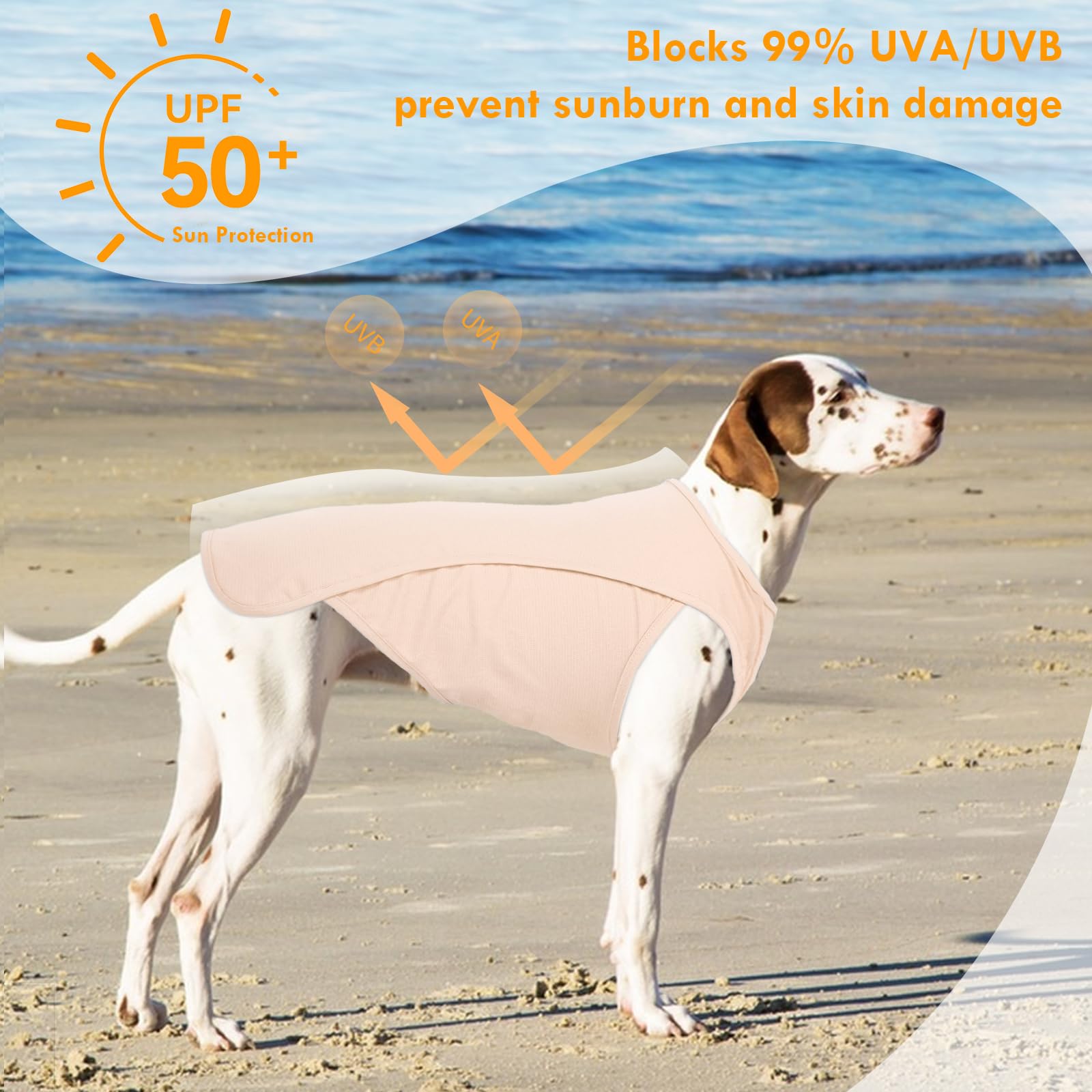 IKIPUKO sun-protection dog shirt shields sensitive skin from UV rays.
