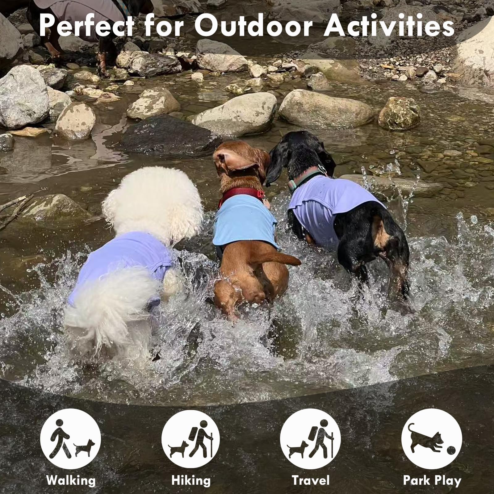 IKIPUKO temperature-regulation dog shirt helps prevent overheating on hikes.