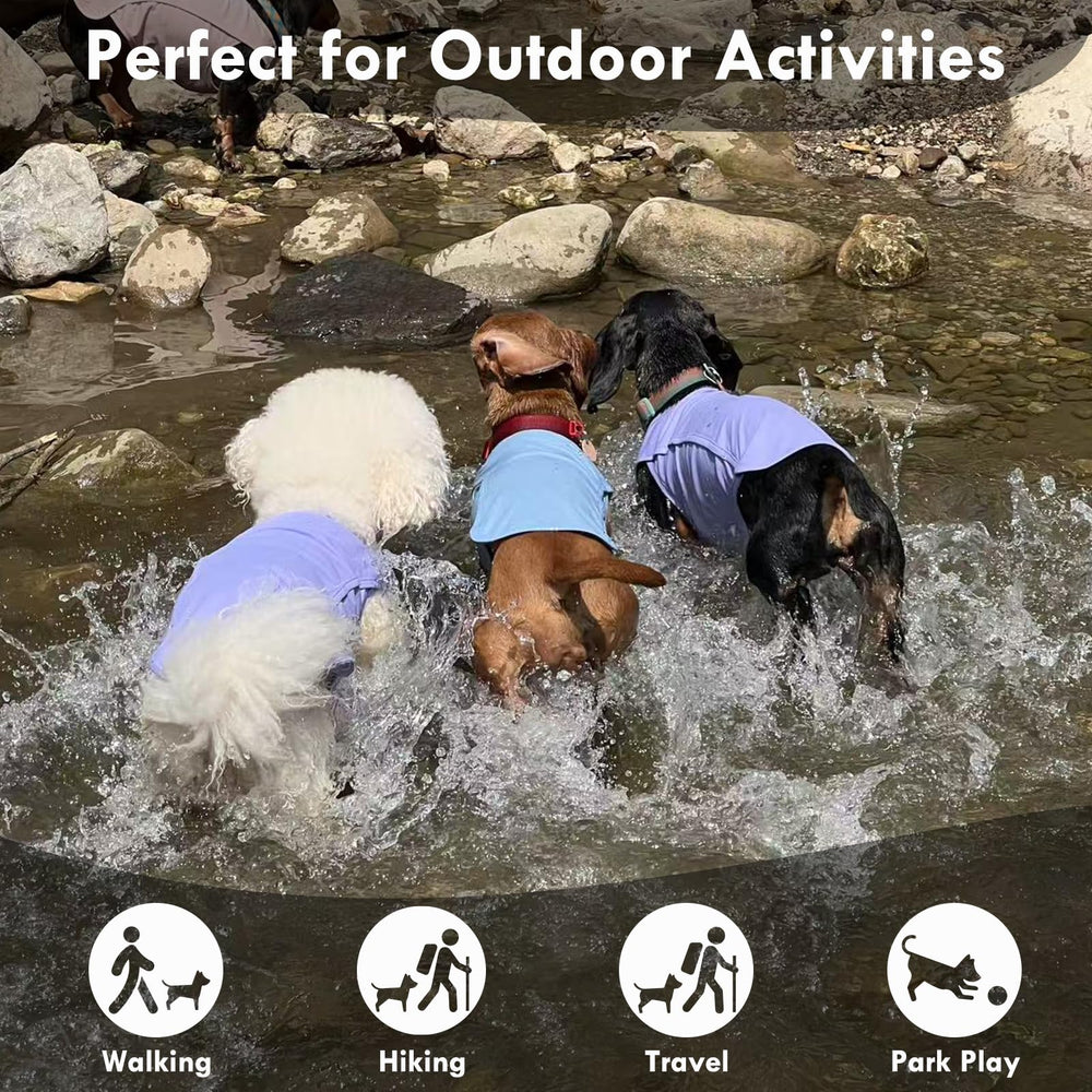 IKIPUKO temperature-regulation dog shirt helps prevent overheating on hikes.