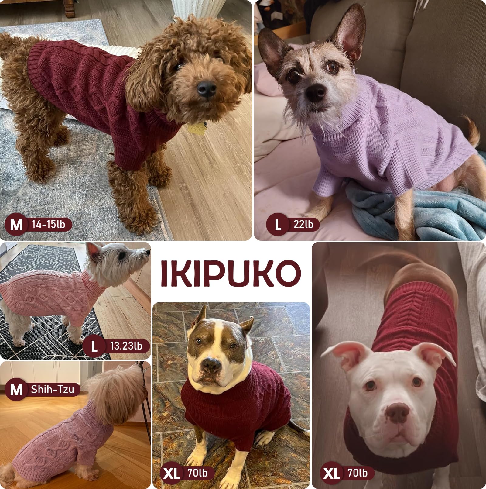 IKIPUKO size M model worn by a medium dog.