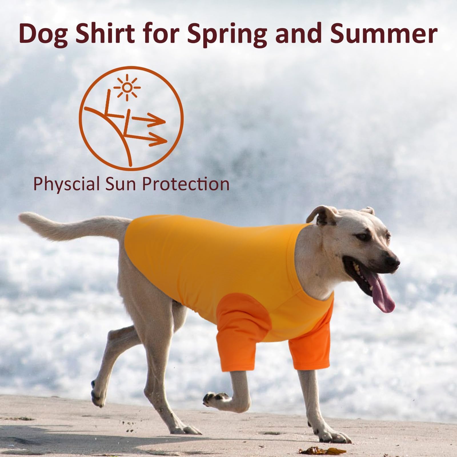 IKIPUKO dog walking scene demonstrates light wear for daily adventures.