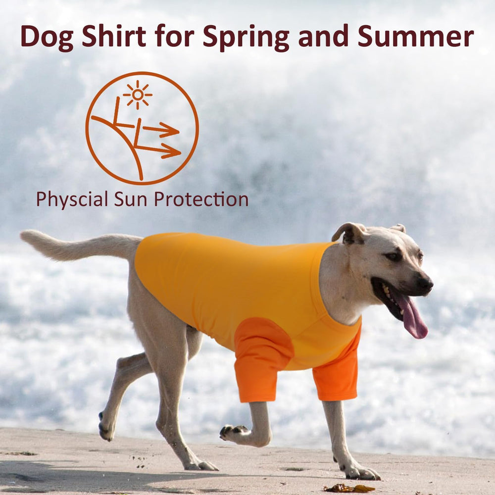 IKIPUKO dog walking scene demonstrates light wear for daily adventures.