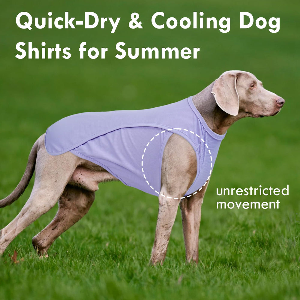 IKIPUKO durable, machine-washable dog clothes for easy care.