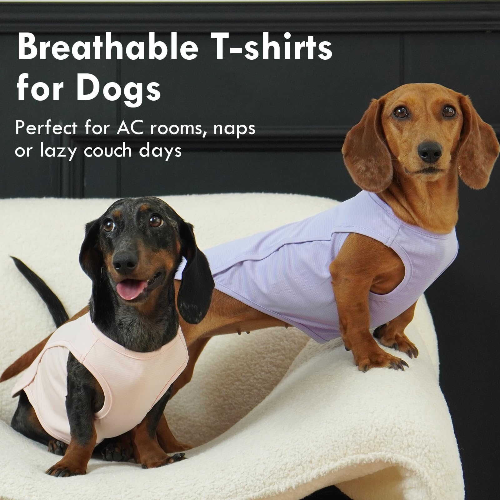 IKIPUKO easy-on-off dog shirt with wrinkle-resistant fabric.
