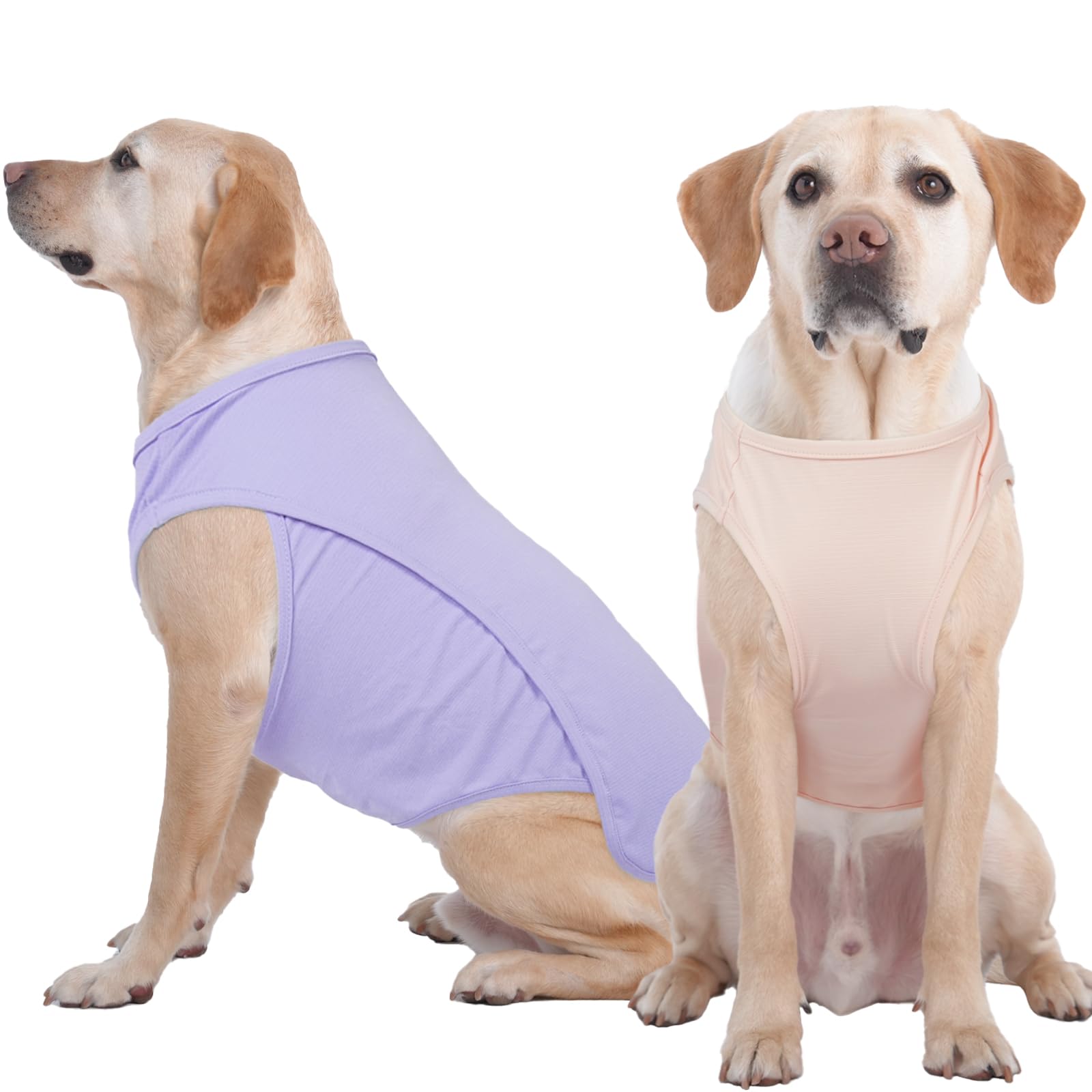 IKIPUKO summer dog shirt quick-dry 4XL keeps dogs dry after swimming.
