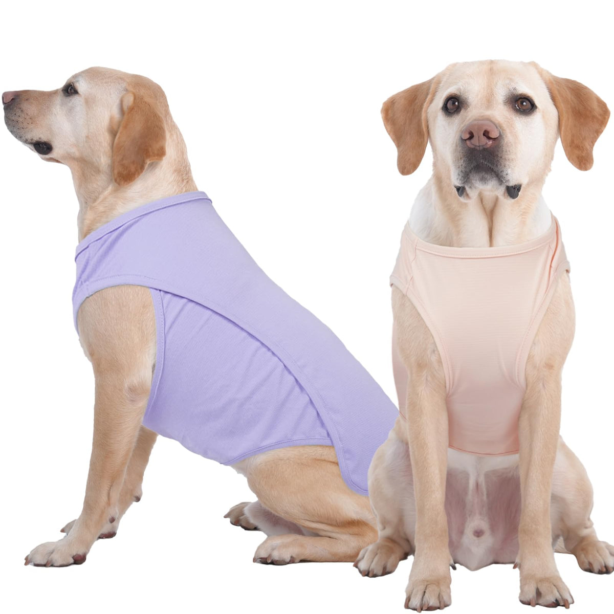 IKIPUKO summer dog shirt quick-dry 4XL keeps dogs dry after swimming.