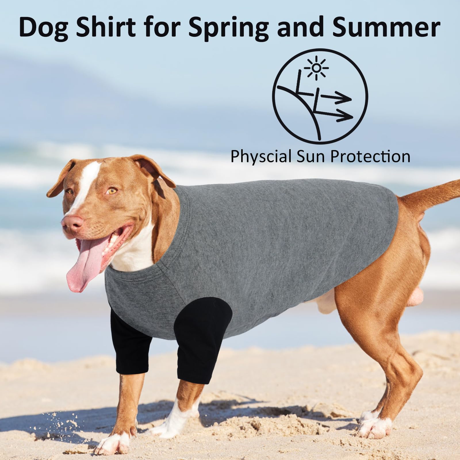 IKIPUKO XL dog shirt size-chart closeup helps pick the right fit for a 53 cm chest