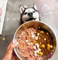 IKITCHEN dog-bowl-double-wall-insulation-grey helps maintain meal temperature longer.