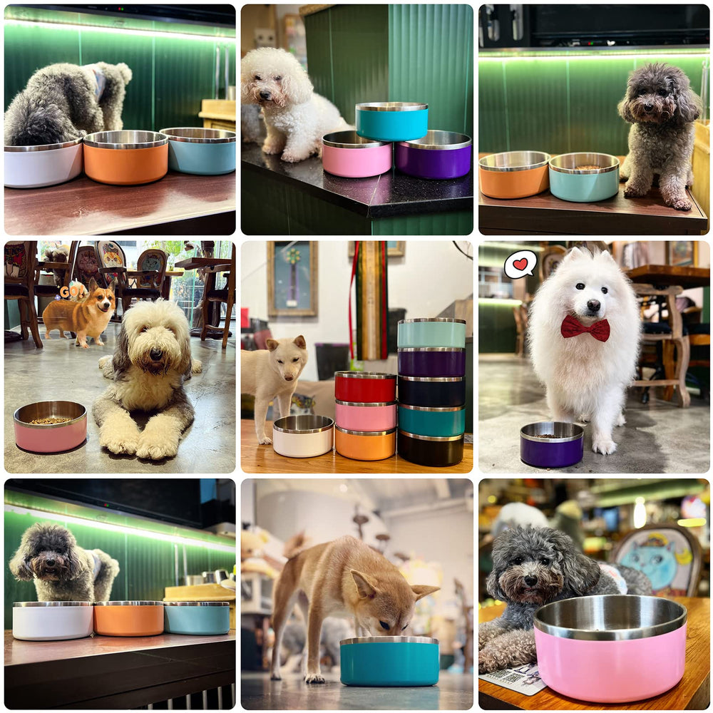ikitchen dog bowl with double-wall insulation keeps meals warm.
