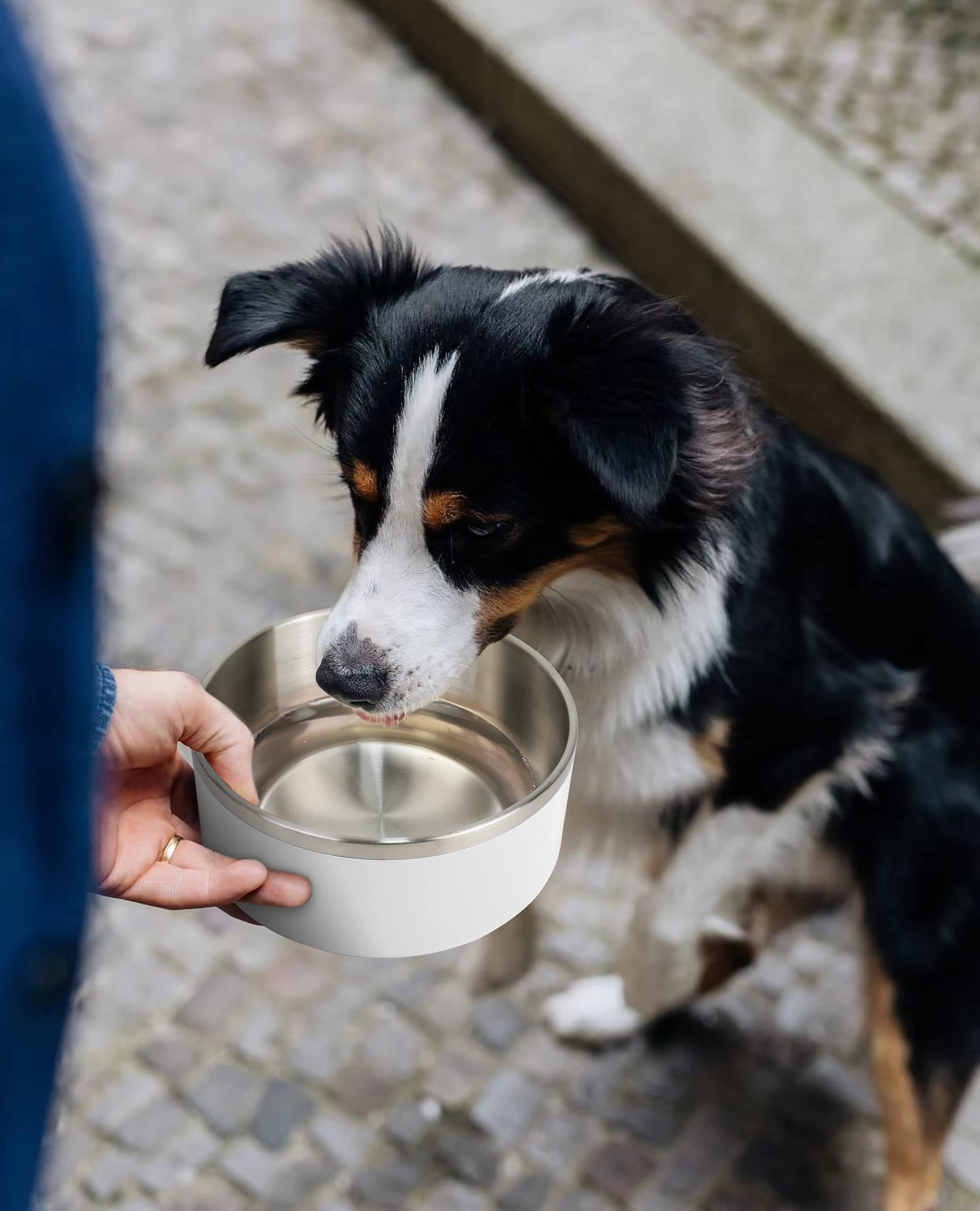 IKITCHEN dog bowl durable-abs construction for daily use.