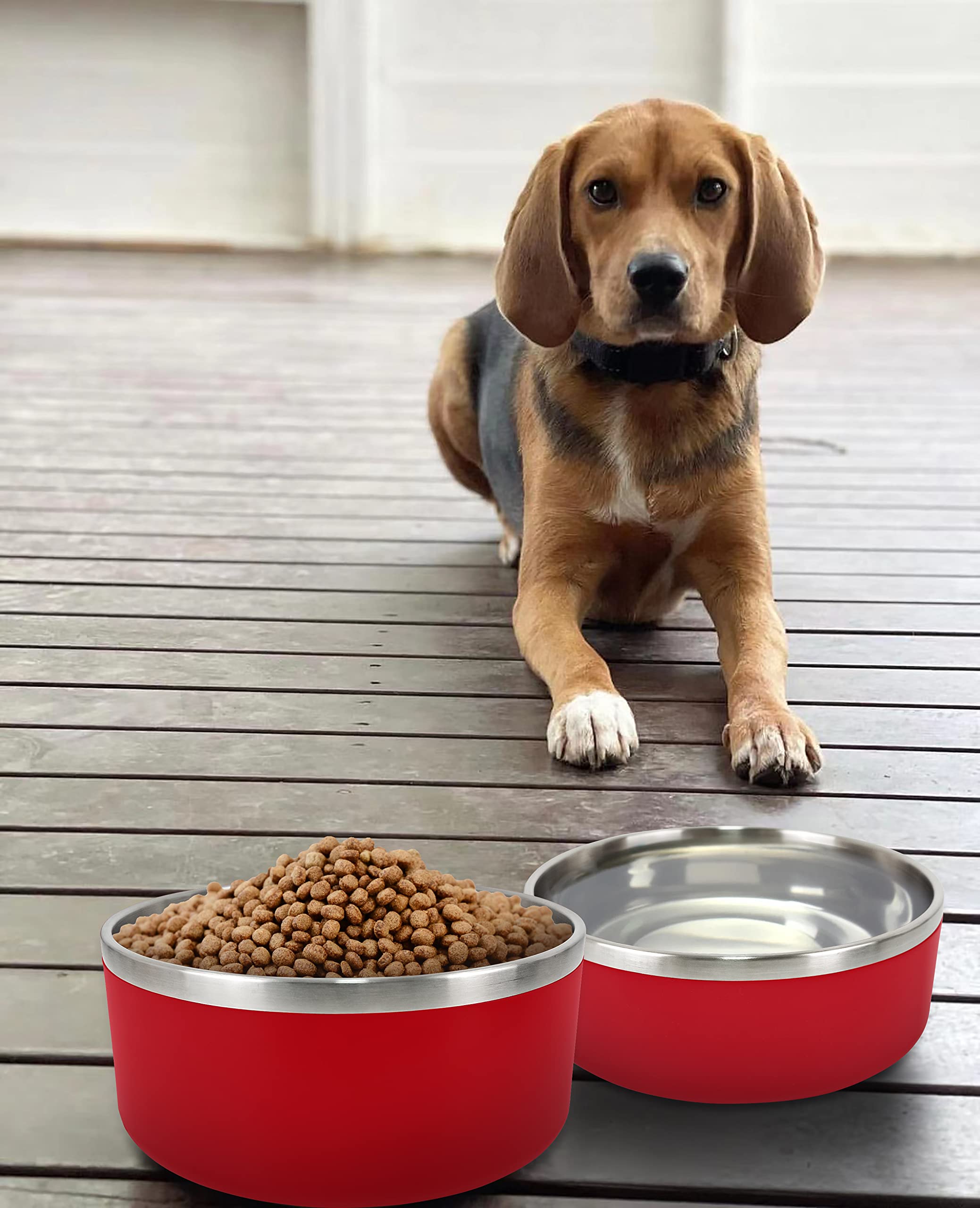 ikitchen dog bowl easy-clean surface simplifies cleanup after meals.