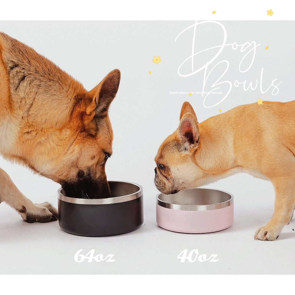 IKITCHEN dog bowl flat-edge design protects tongue during meals.