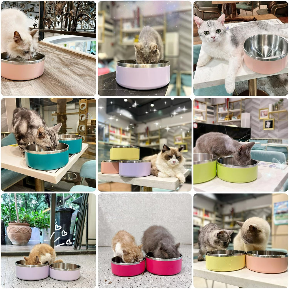 IKITCHEN dog-bowl-for-large-dogs sturdy design resists chew and spills.