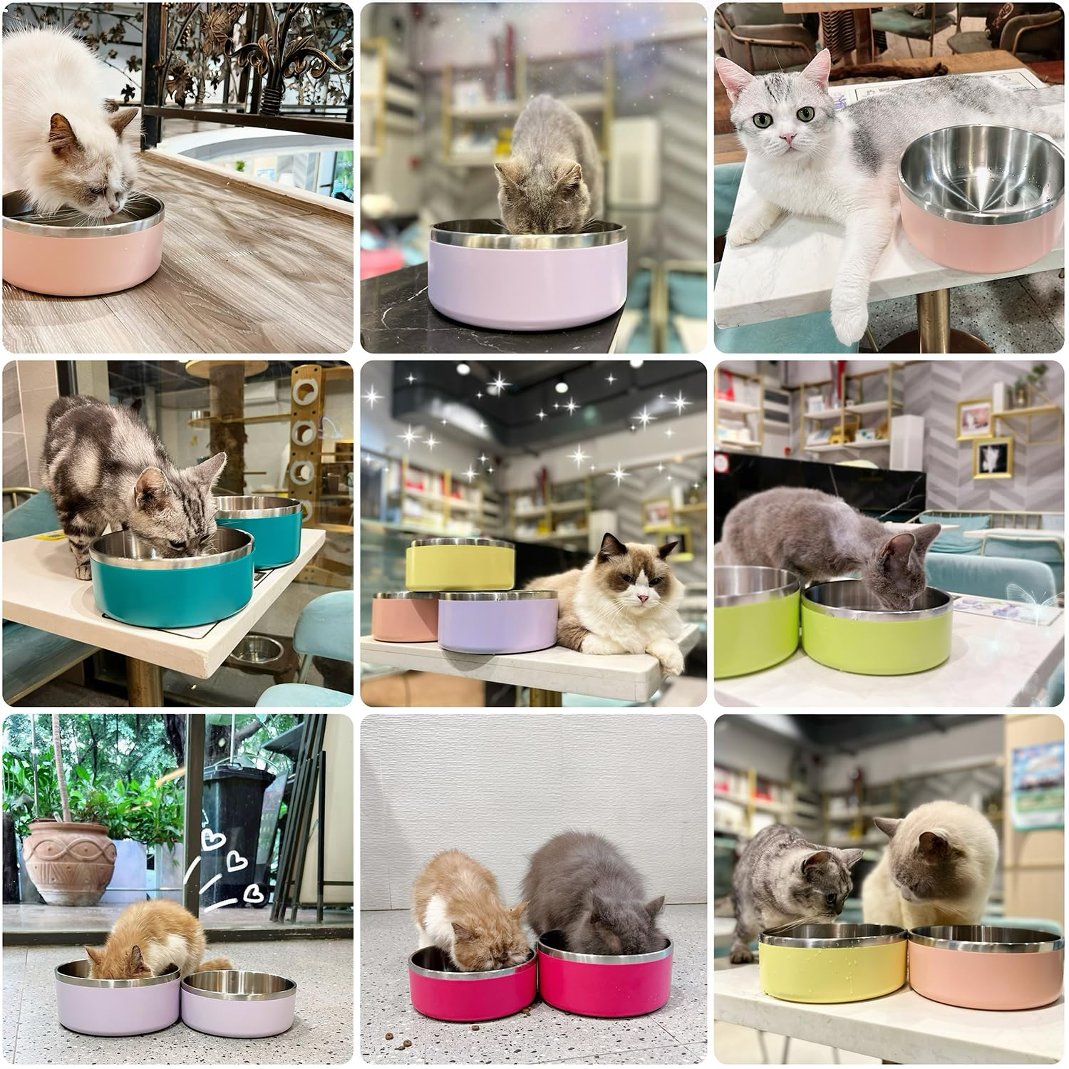 ikitchen dog bowl light purple finish for stylish dining.