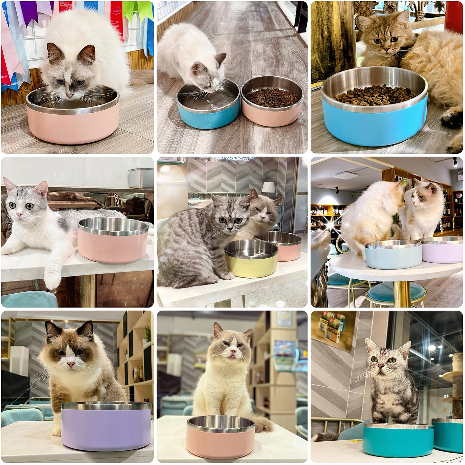 IKITCHEN dog bowl light-purple design adds a gentle color to feeding time.