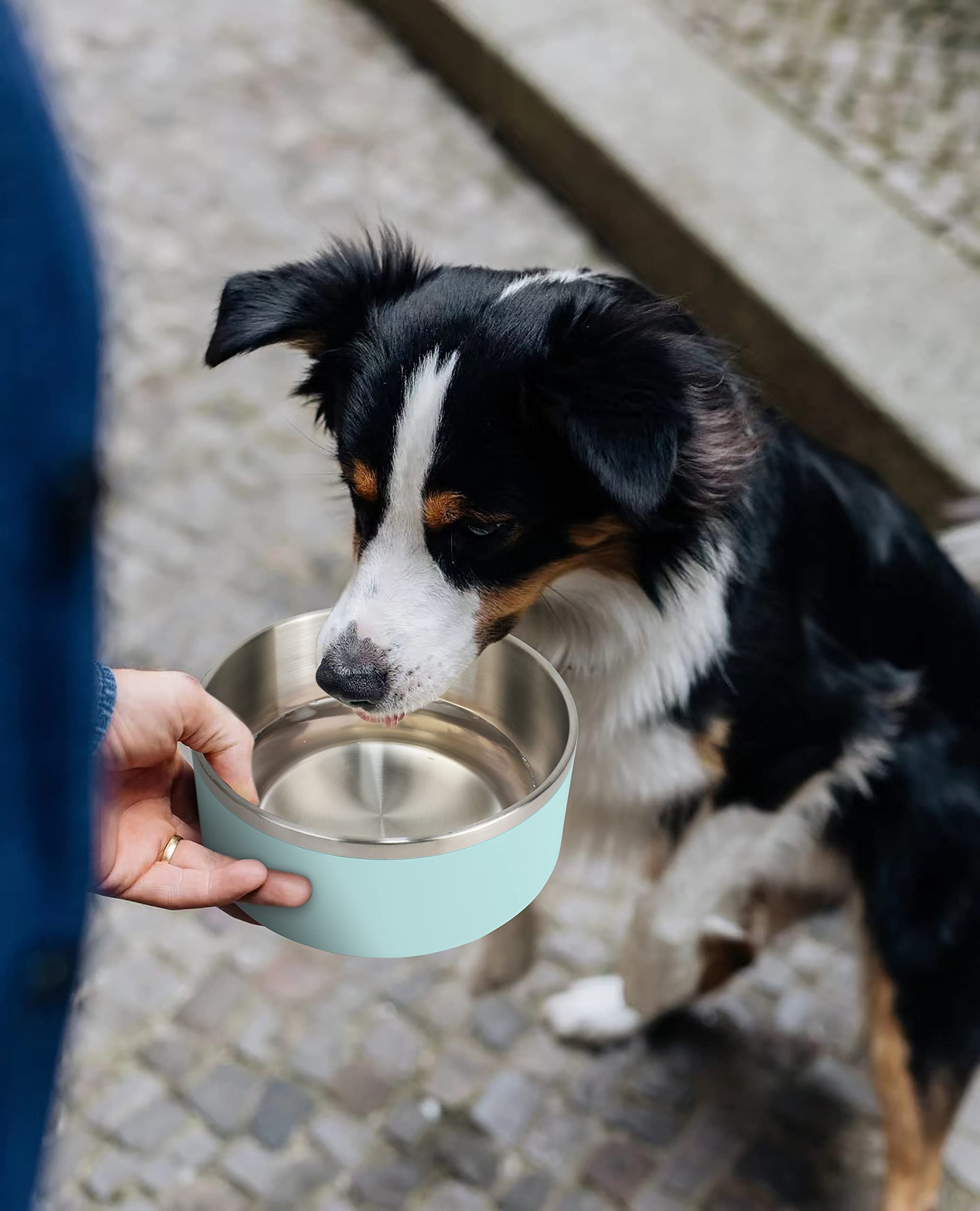 ikitchen mintgreen insulated bowl suits daily feeding routines.
