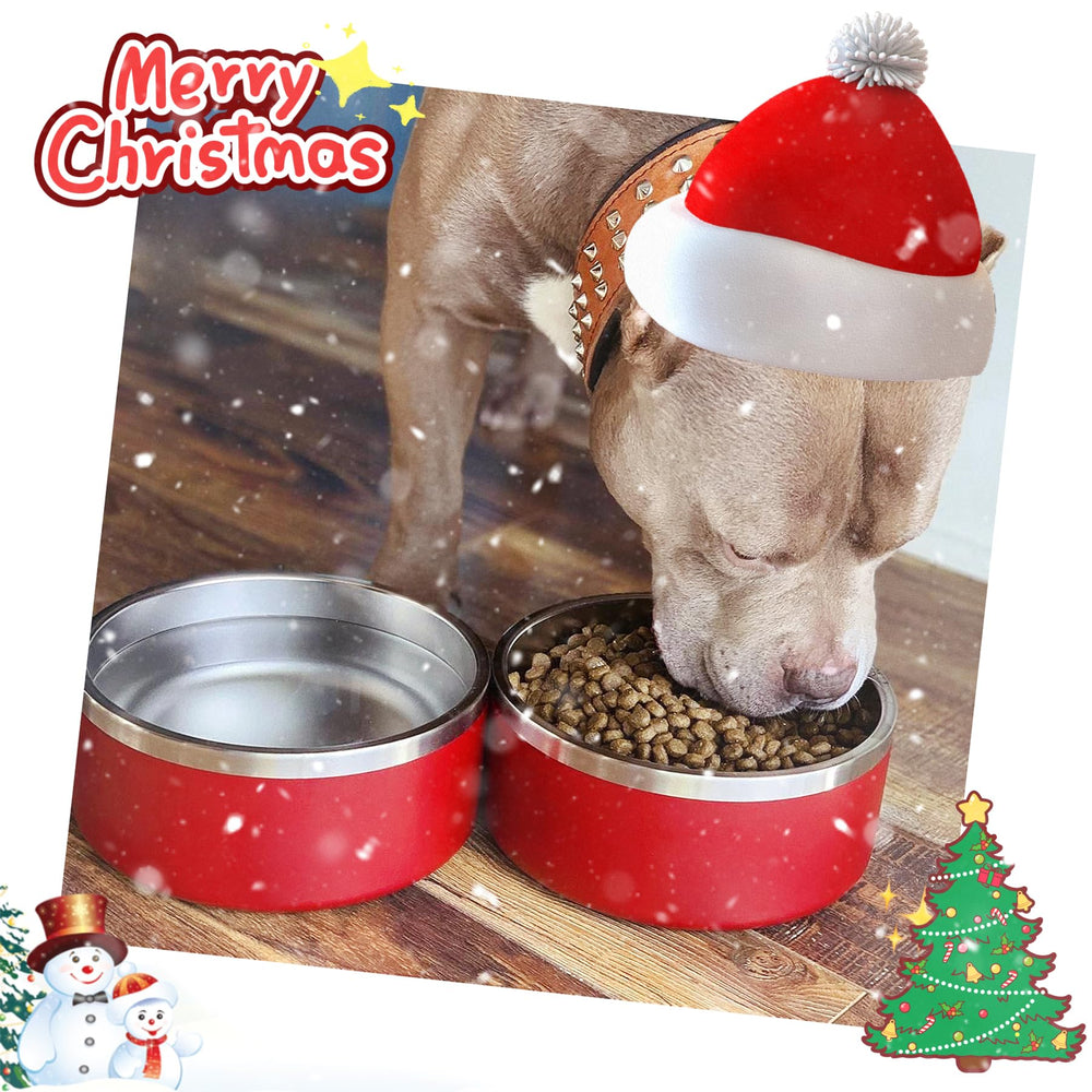 IKITCHEN dog bowl with non-slip bottom prevents spills during meals