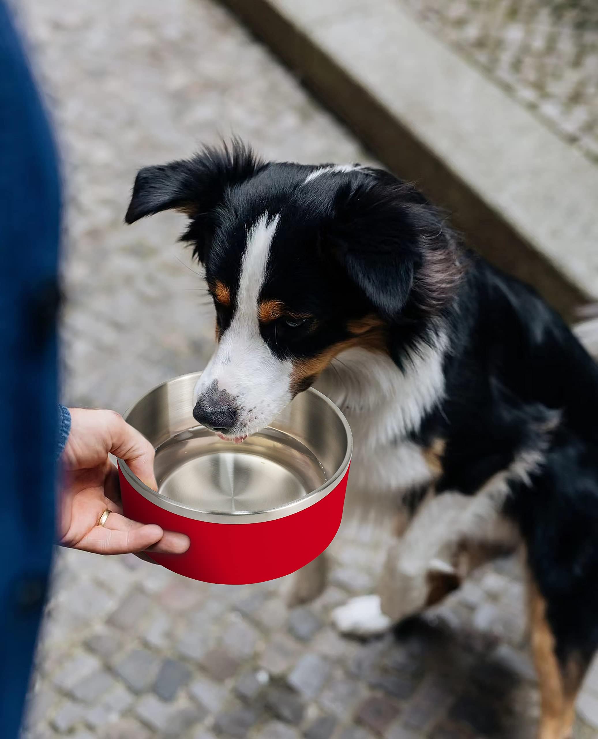 ikitchen dog bowl stainless steel inner for rustproof daily use.