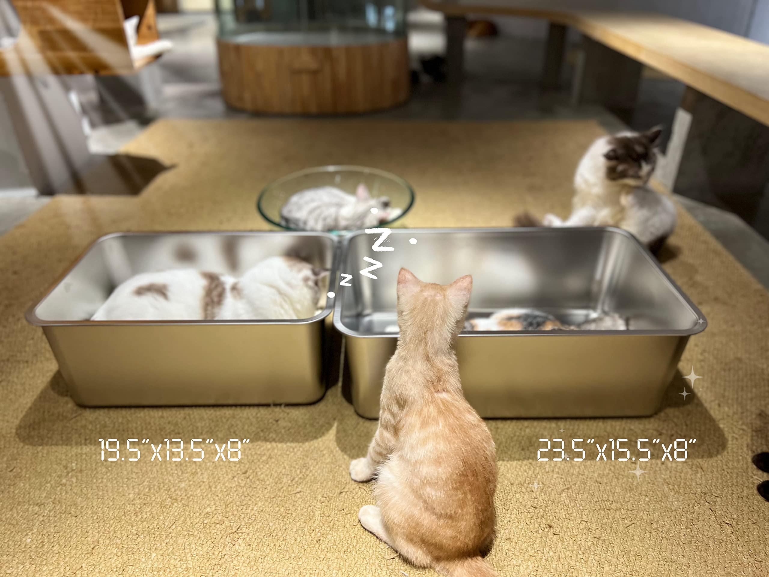 IKITCHEN high-sided cat litter box provides height for contained waste