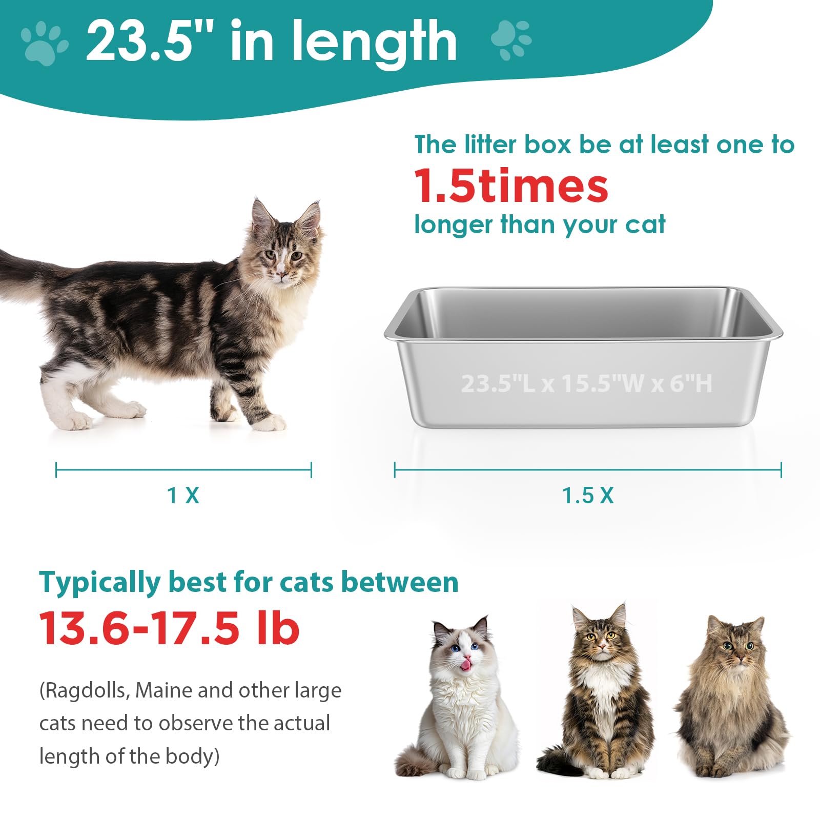 IKITCHEN stainless interior with rounded edges minimizes accidental scratches and keeps paws safe.