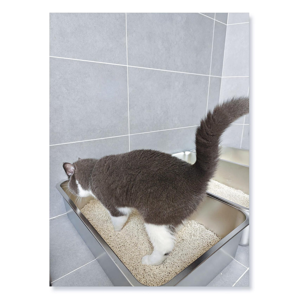 IKITCHEN stainless steel litter box side view demonstrates non-slip feet keep floors scratch-free.