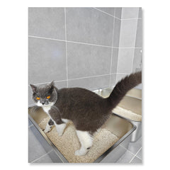 IKITCHEN stainless steel cat litter box top view reveals spacious interior for kittens.