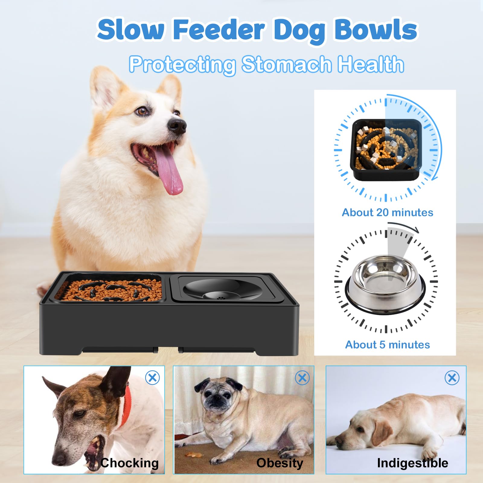 ikuso non-skid bracket keeps bowls stable and floors clean