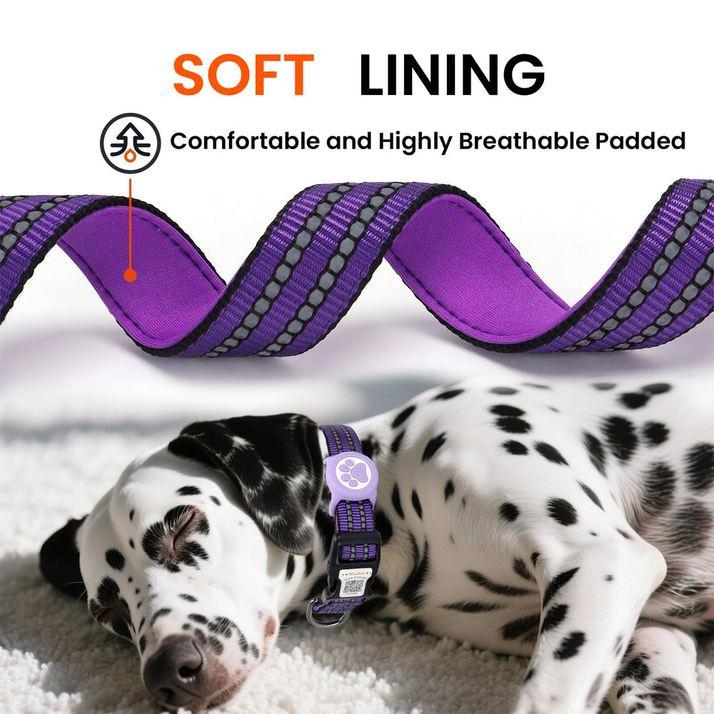 ILFINDYOU AirTag Dog Collar Sturdy D-ring secures the leash
