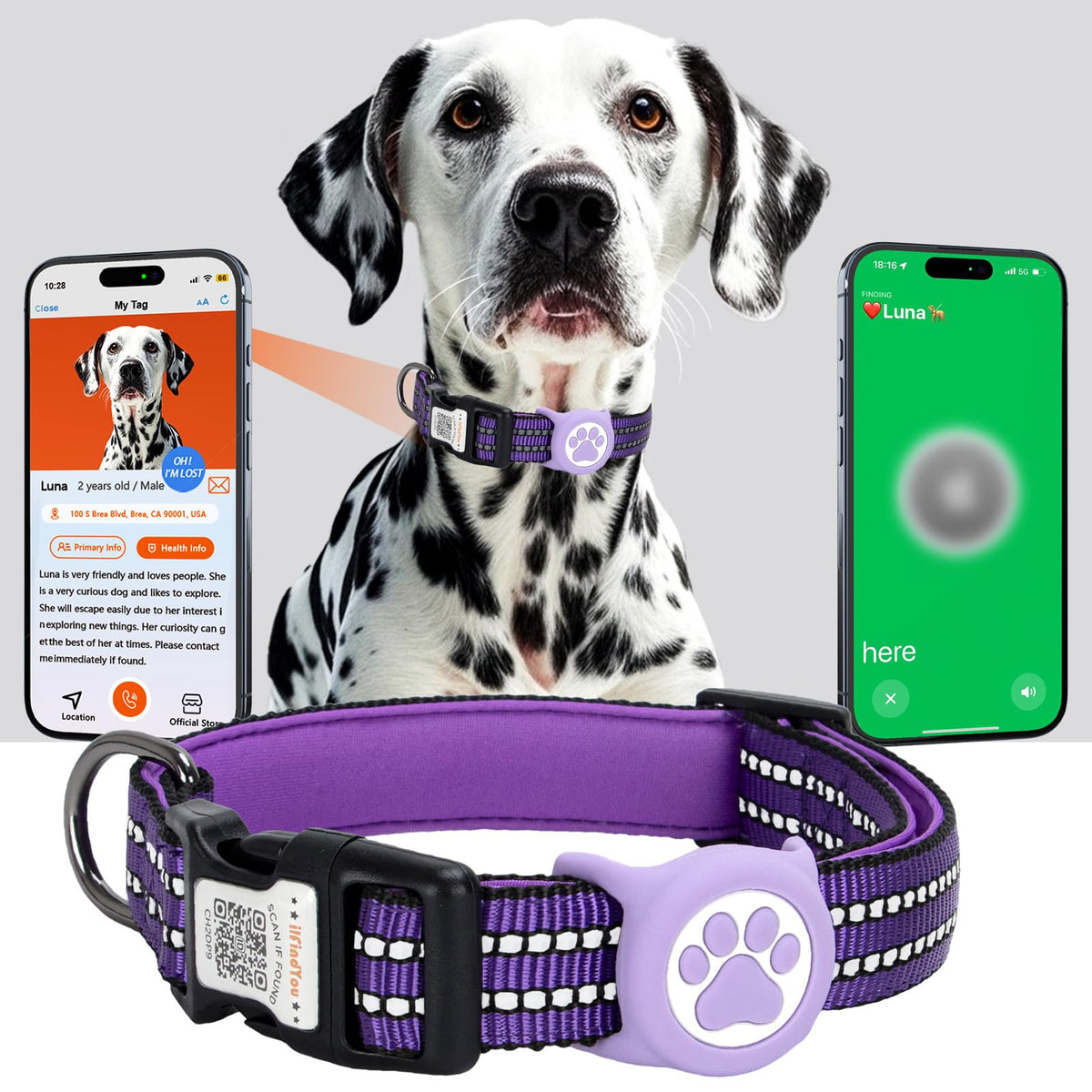 ILFINDYOU AirTag Dog Collar Waterproof exterior supports water play and security