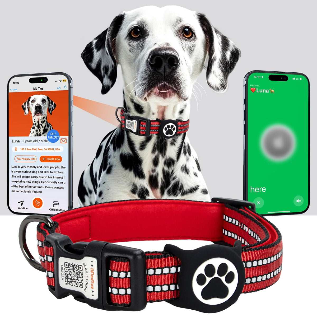 ILFINDYOU AirTag dog collar waterproof design keeps the tag protected during water play