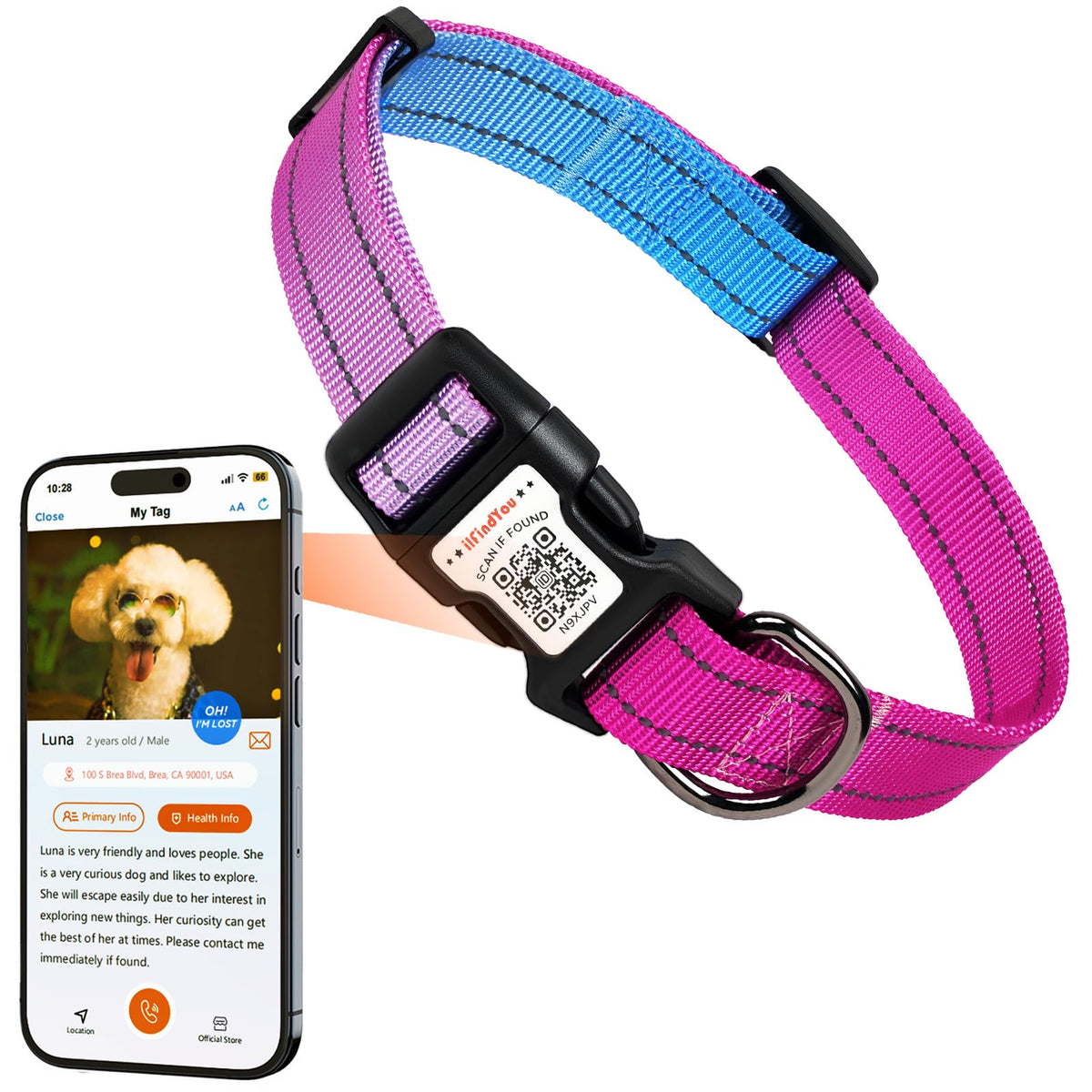 ILFINDYOU collar close-up shows soft nylon and sturdy buckle for reliable everyday wear.