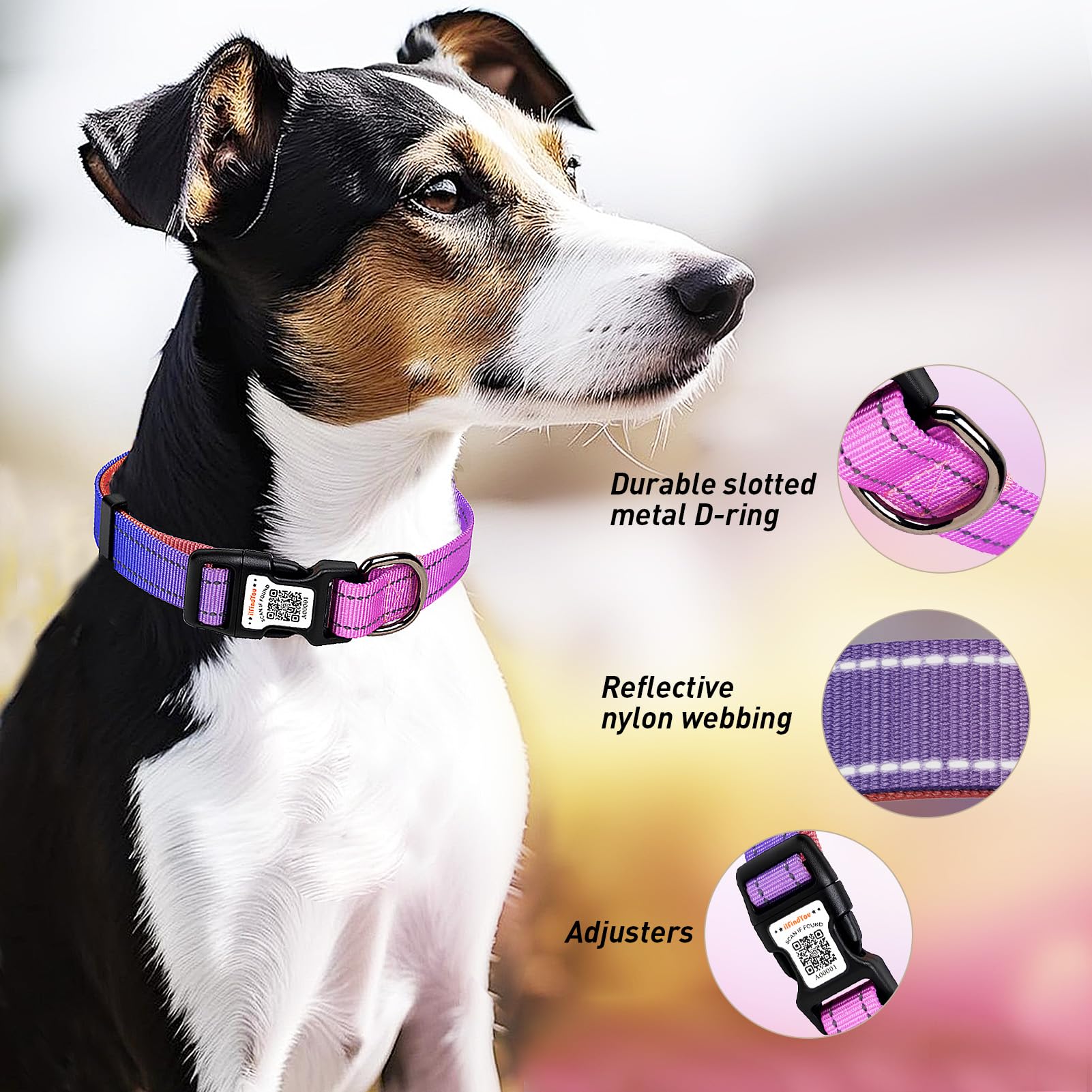 ILFINDYOU digital pet profile enables fast emergency information access.