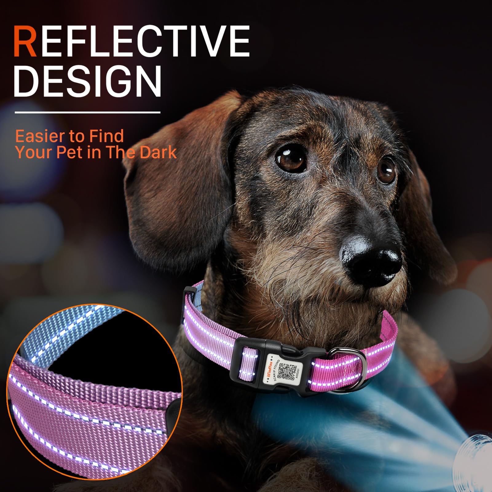 ILFINDYOU digital profile setup helps share pet information during emergencies.
