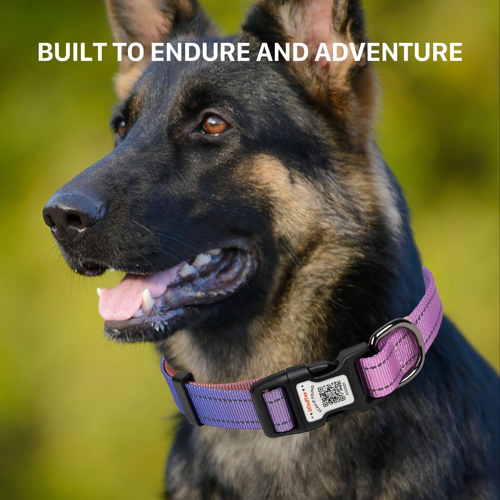 ILFINDYOU durable nylon buckle collar for everyday use.