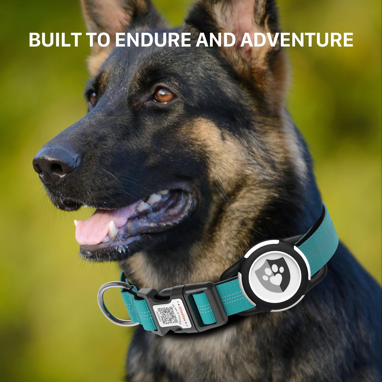 ilFindYou premium packaging presents a gift-ready collar
