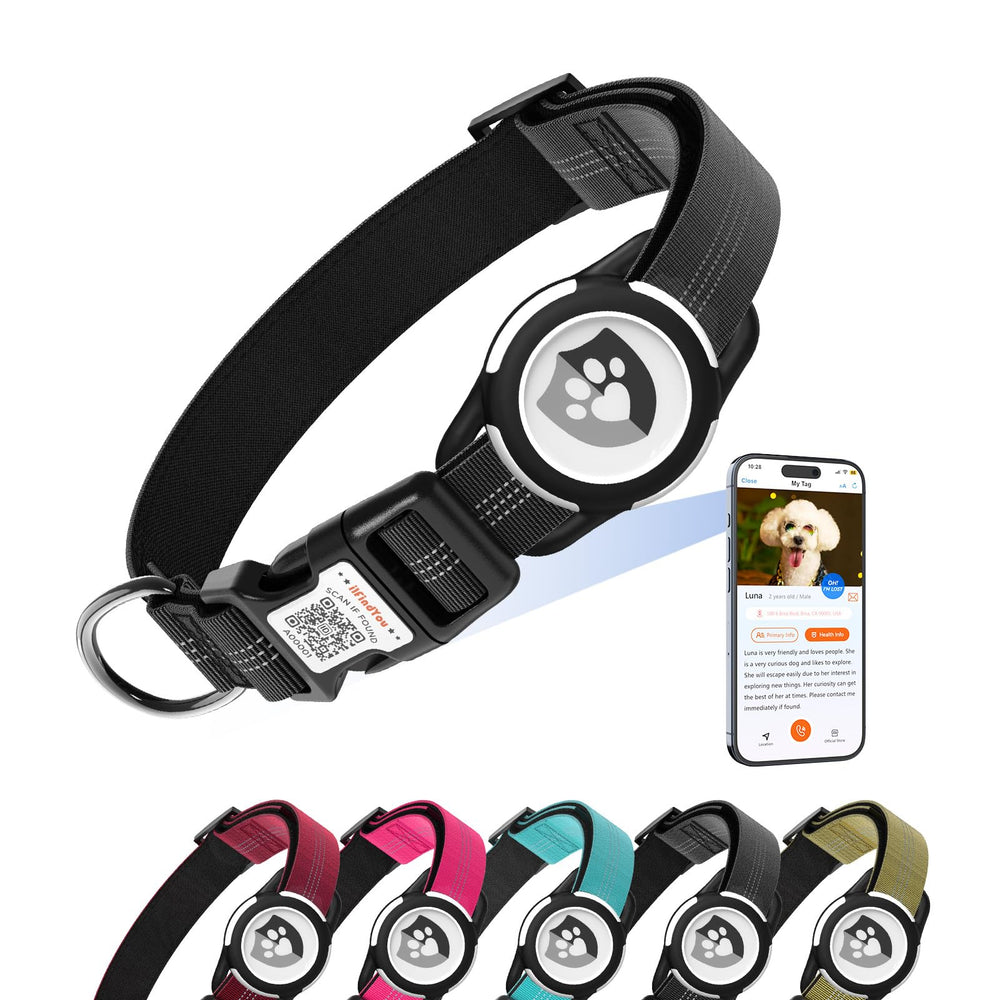 ilFindYou reflective collar with AirTag holder for XS size keeps pets visible during evening walks.