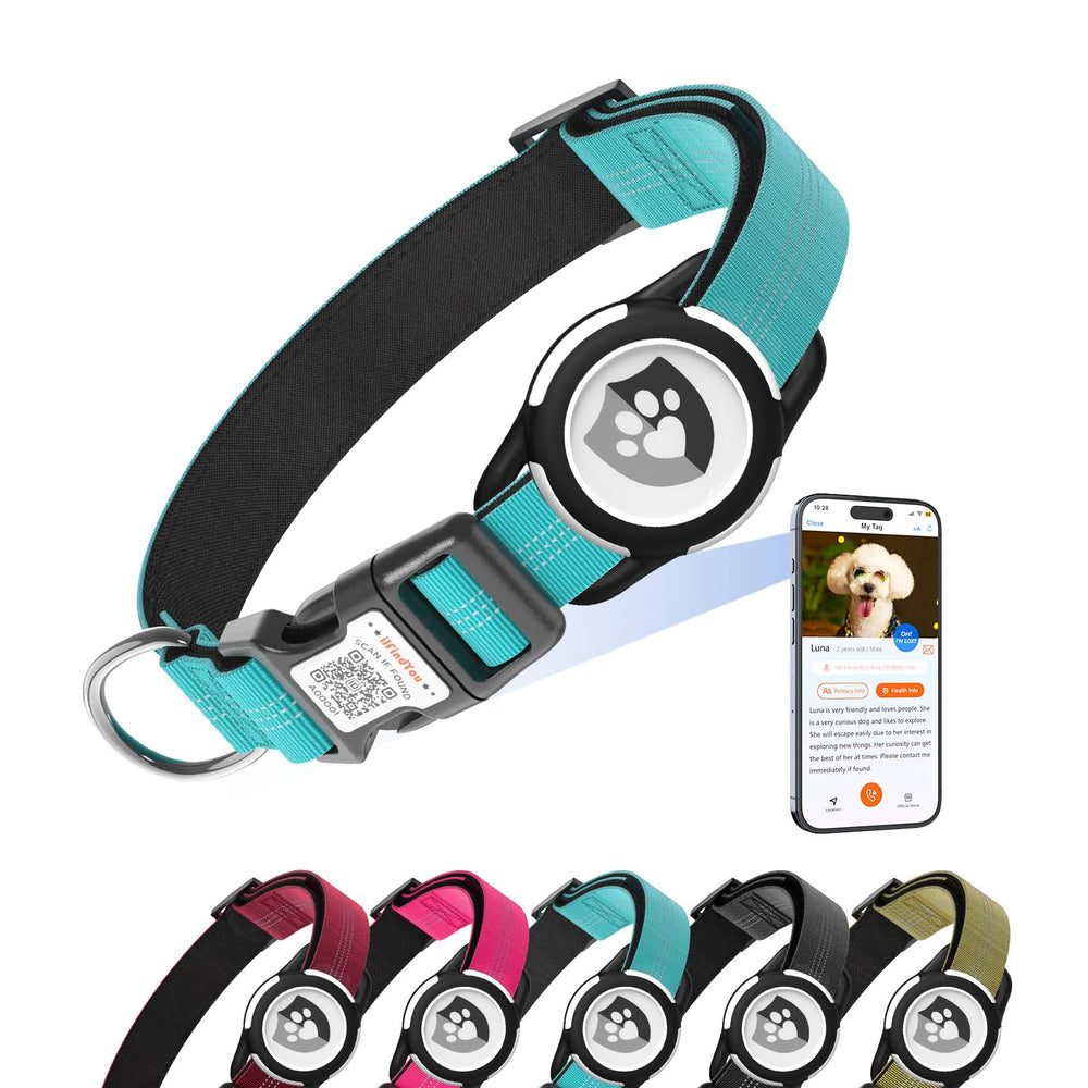 ilFindYou reflective collar with AirTag holder enhances night visibility for dogs