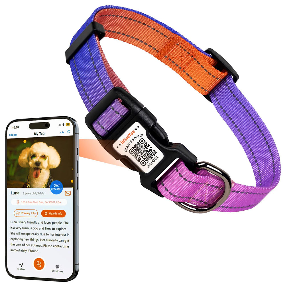 ILFINDYOU small dog collar with QR buckle offering real-time alerts when scanned.
