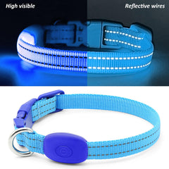 Collar Illumifun con recarga USB, ideal para paseos nocturnos.