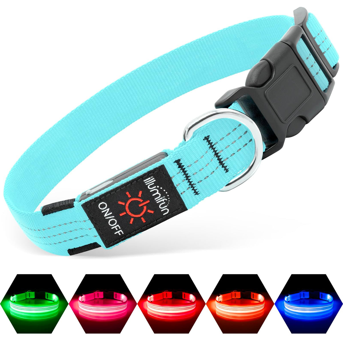 Illumifun LED dog collar blue iii on dog enhances night visibility during walks
