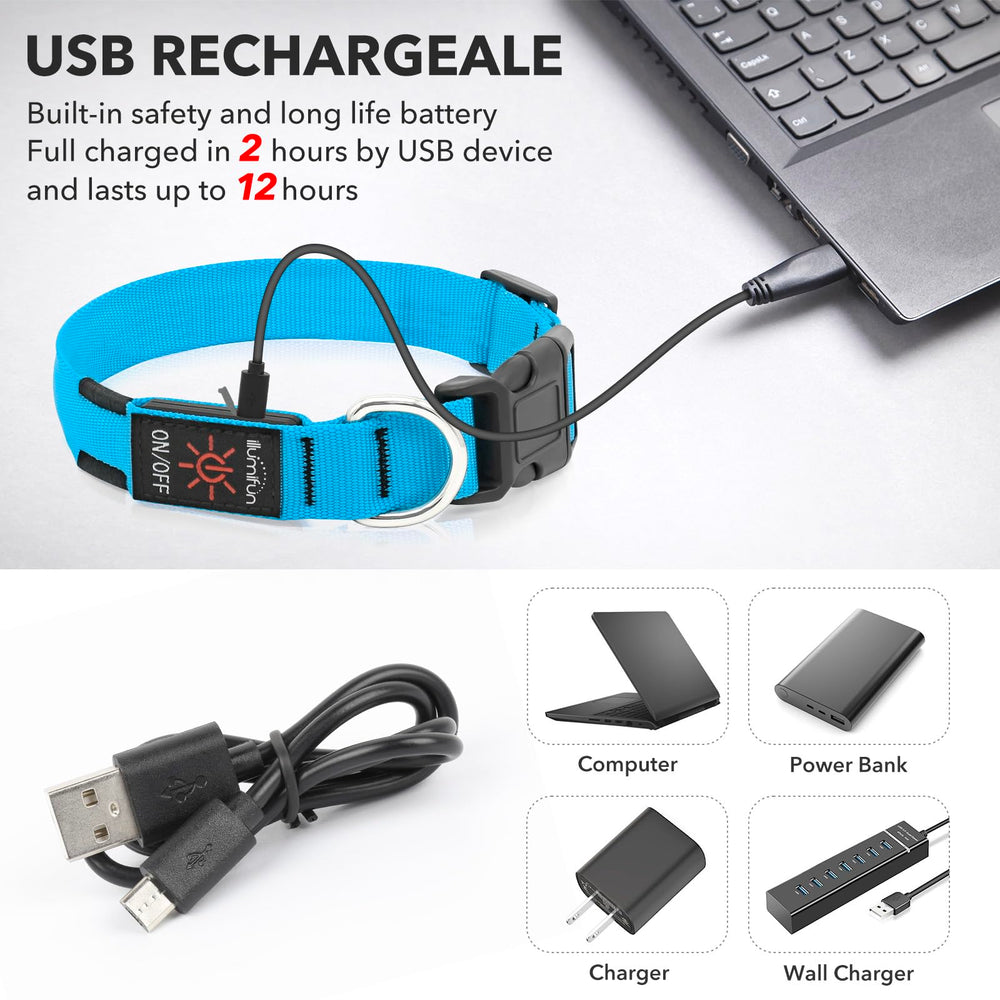 Illumifun LED dog collar blue small charging shows USB recharge ease for long outings